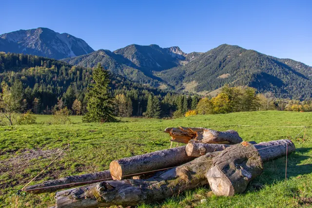 Gestapelte Baumstämme auf einer Wiese vor bewaldeten Bergen