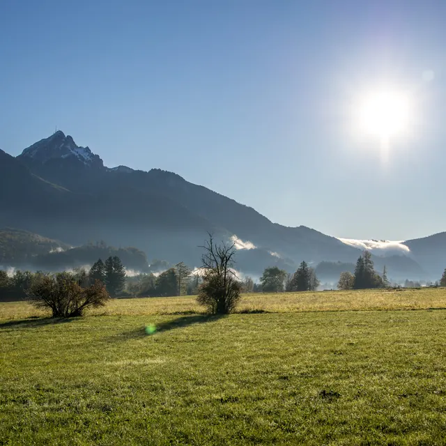 Wiese mit Bäumen, dahinter Nebelschwaden vor Bergen bei Sonnenschein