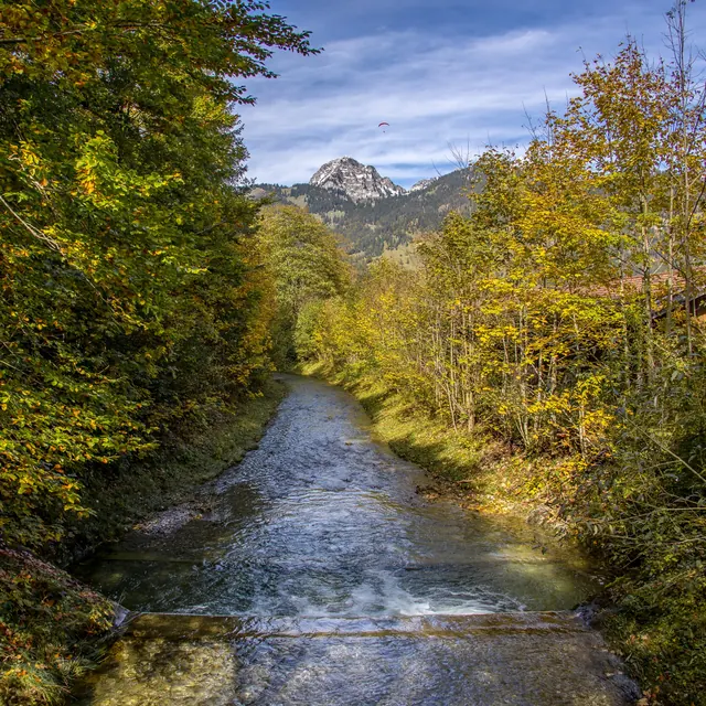 Bach fließt durch herbstlich gefärbten Wald