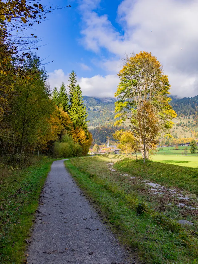Schotterweg zwischen herbstlich gefärbten Bäumen und Wiesen