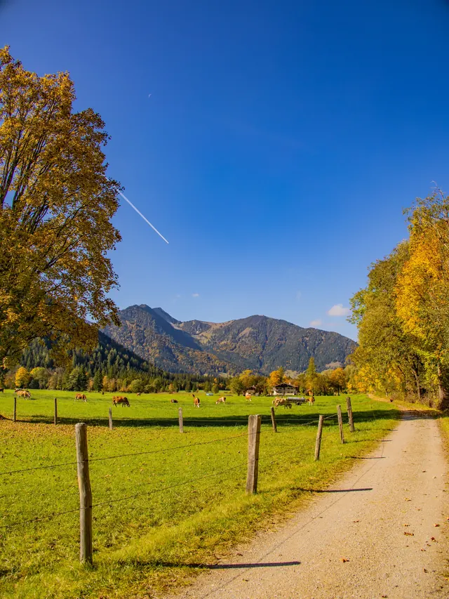 Schotterweg entlang einer Weide mit Bergen im Hintergrund