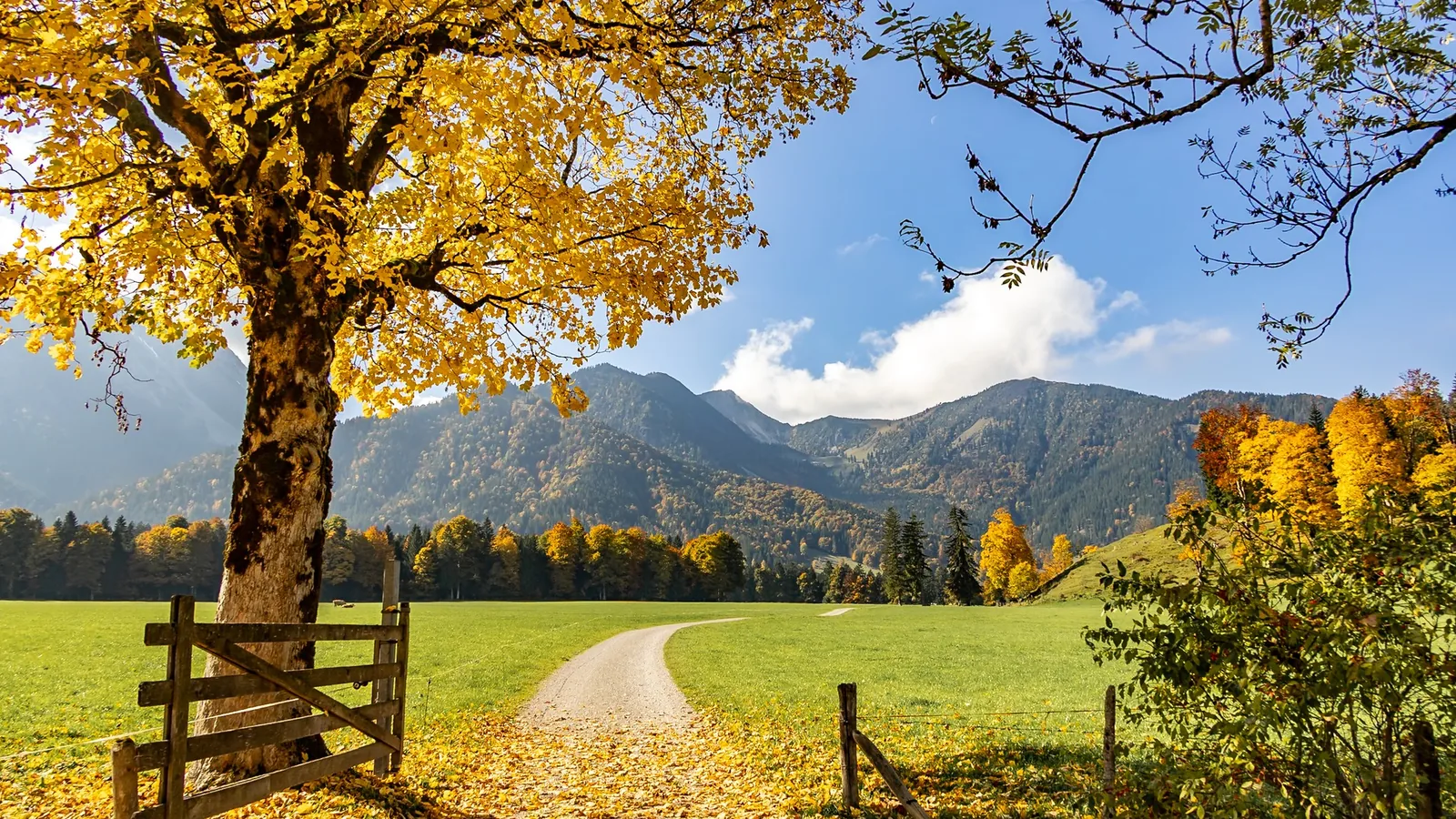 Bayrischzell im Oktober