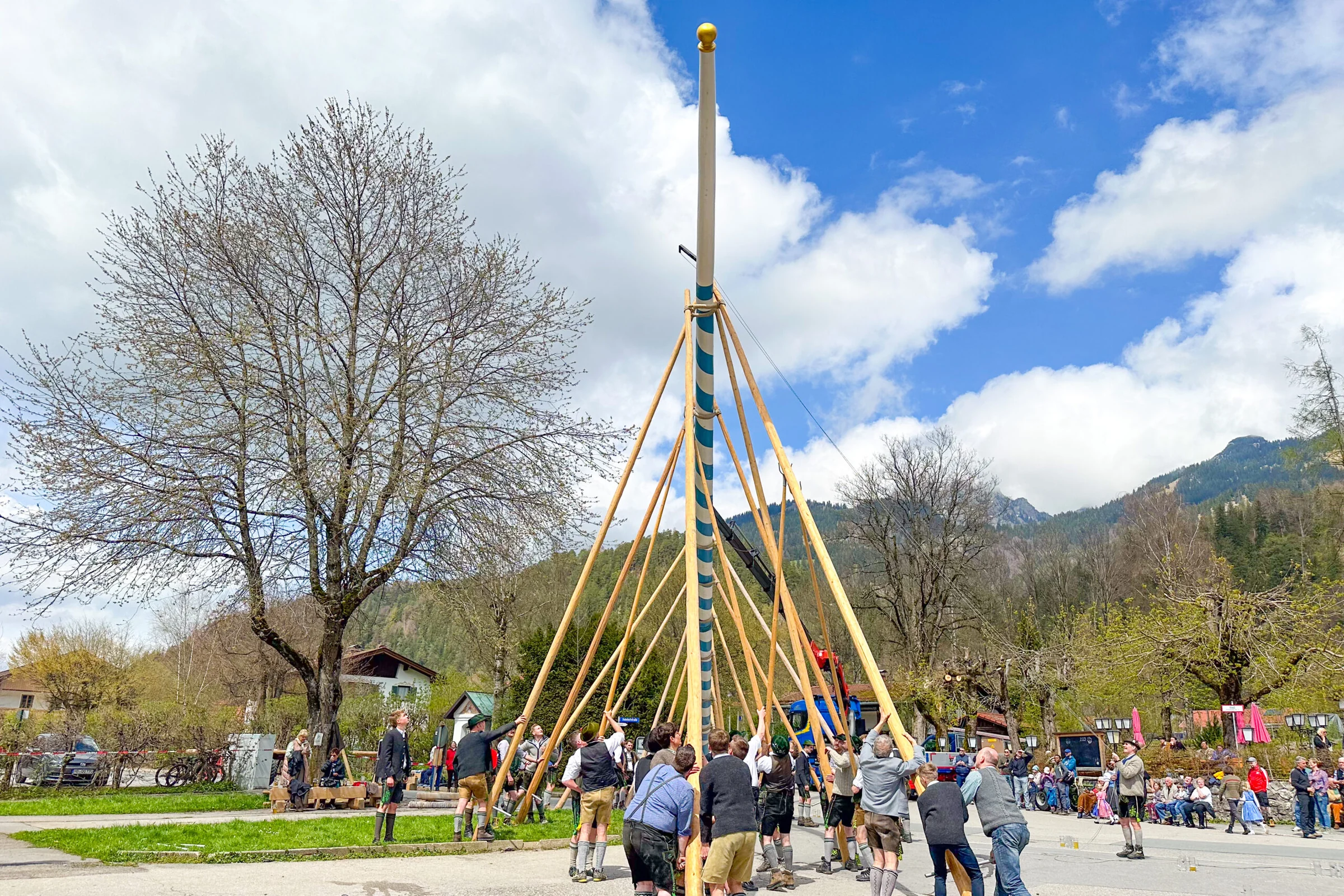 Der Maibaum
