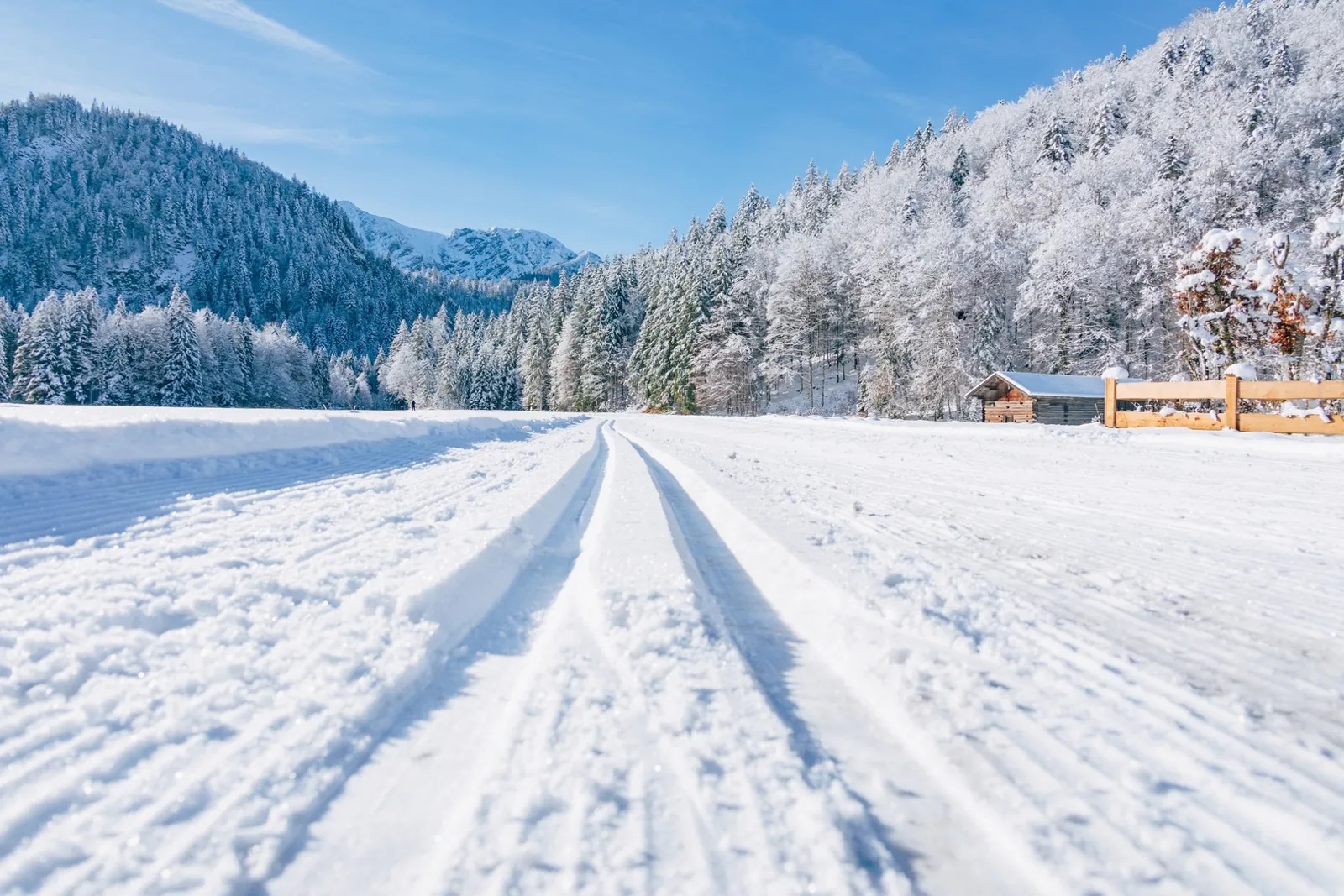 Frisch gespurt am Waldrand