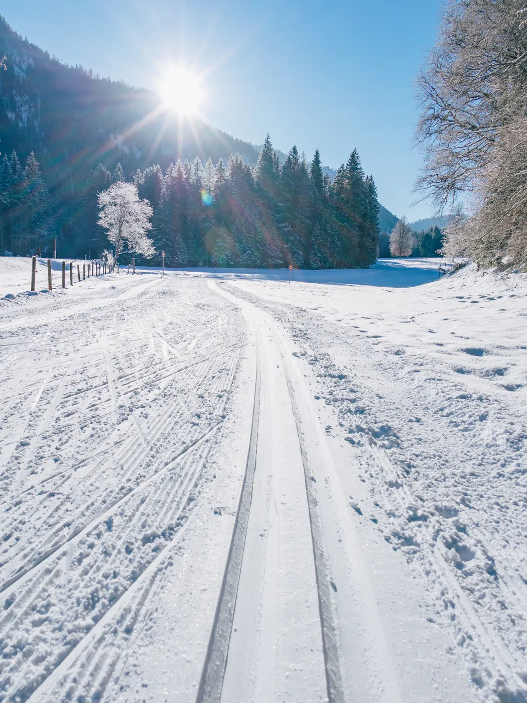 Klassische Spur in der Sonne