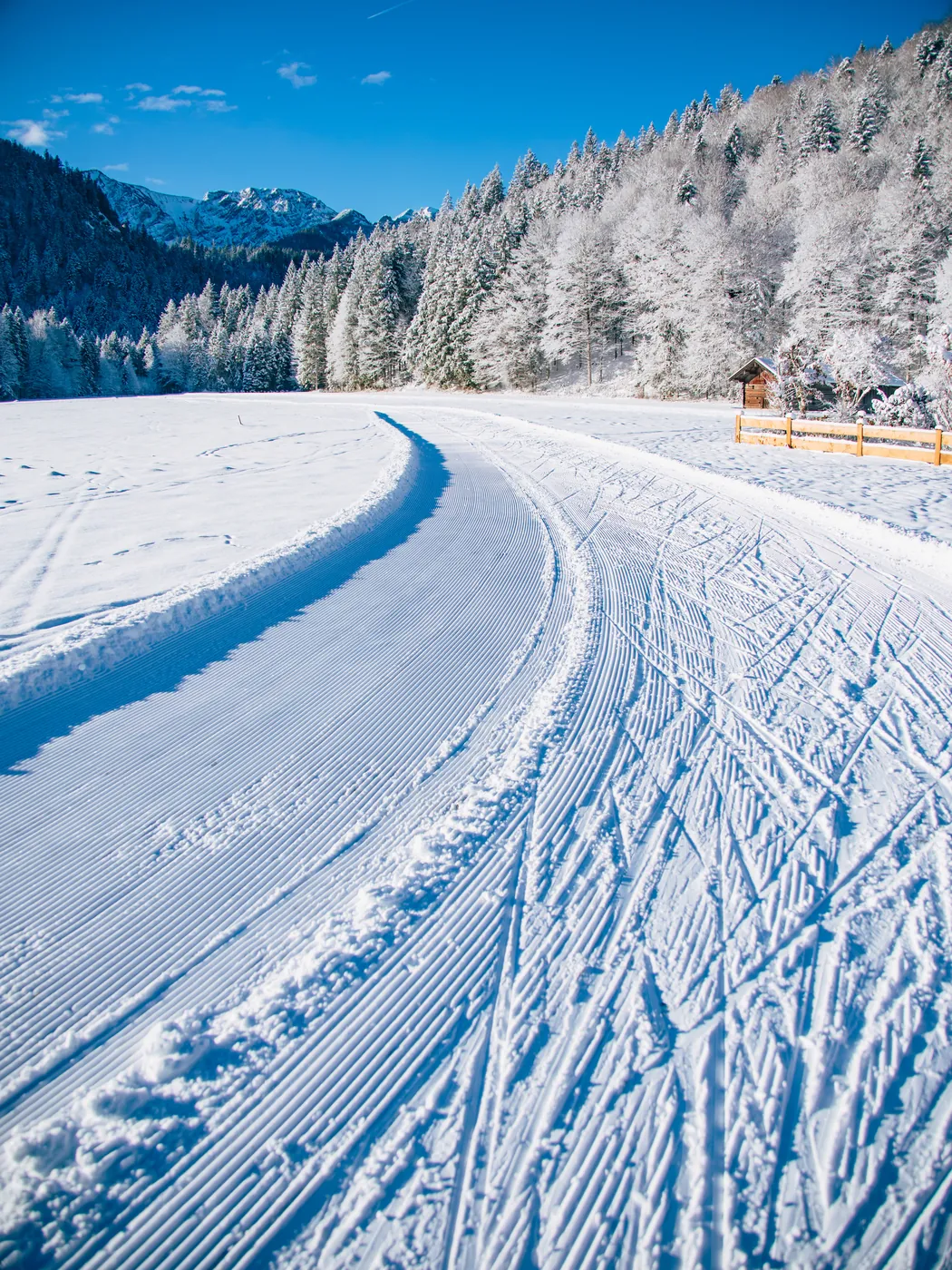 Frisch gespurt in der Kurve