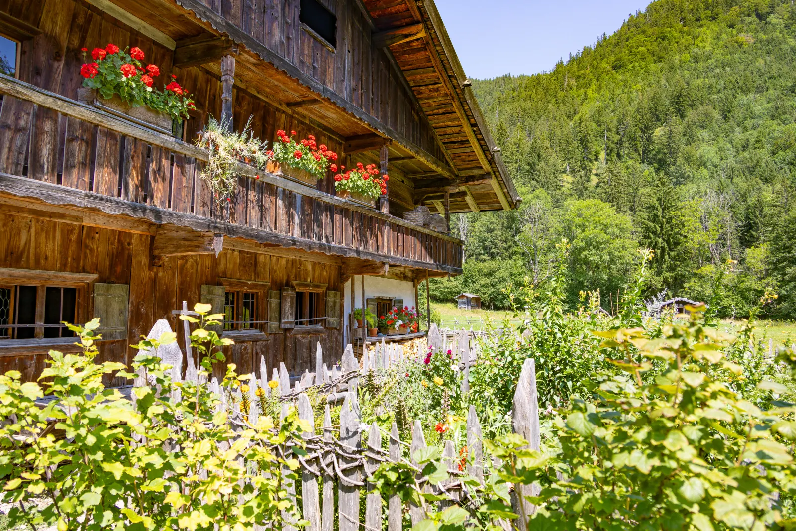 Blick über das Museumsdorf im Sommer