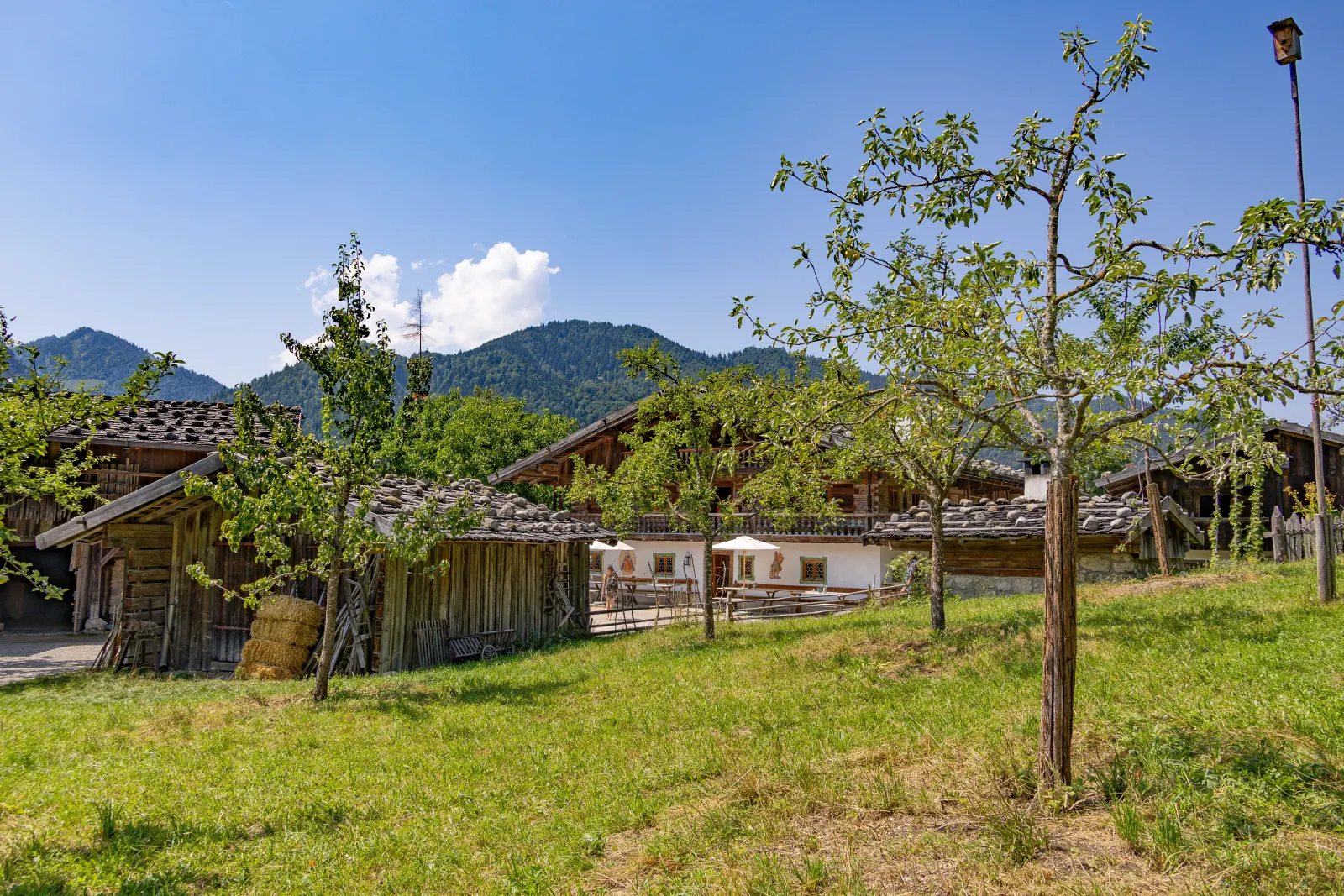 Durch den Obstgarten zum Haupthaus